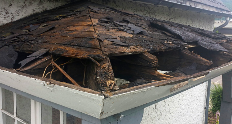 Signs Your Roof Needs Replacement